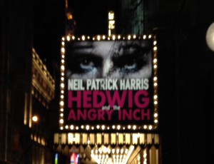 photo 2 Hedwig