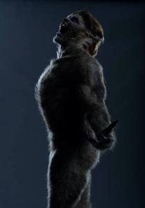 1797999_10152284189371856_1604296656420194696_n