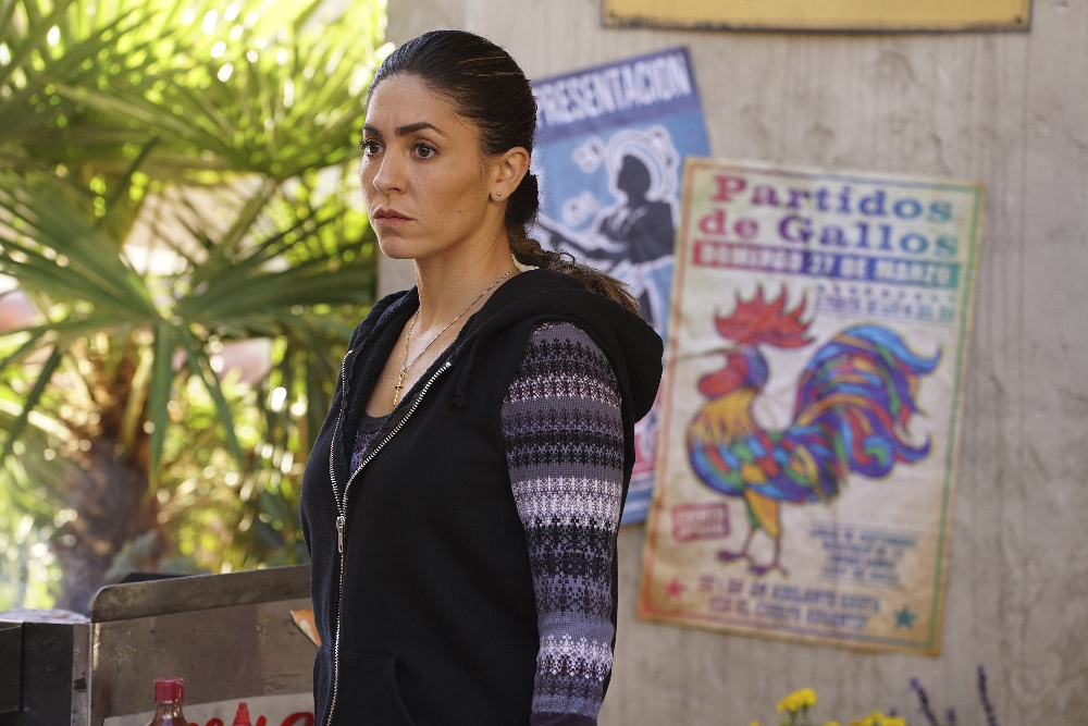 MARVEL'S AGENTS OF S.H.I.E.L.D. - "Bouncing Back" - TUESDAY, MARCH 8 (9:00-10:00 p.m. EST) on the ABC Television Network. (ABC/Eric McCandless)
NATALIA CORDOVA-BUCKLEY
